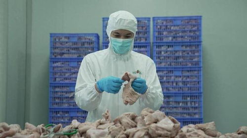 食品安全再上新臺(tái)階 叮咚買菜盱眙工廠通過(guò)FSSC體系認(rèn)證與潤(rùn)滑油銷售管理