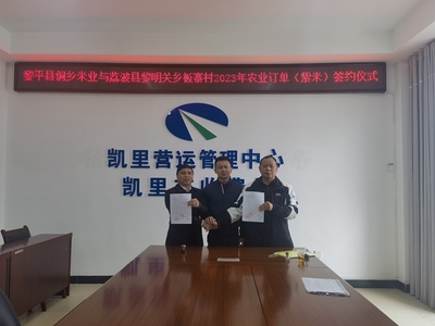 貴州高速集團交通物流集團牽線搭橋，板寨村300畝紫米簽訂單助力鄉(xiāng)村振興